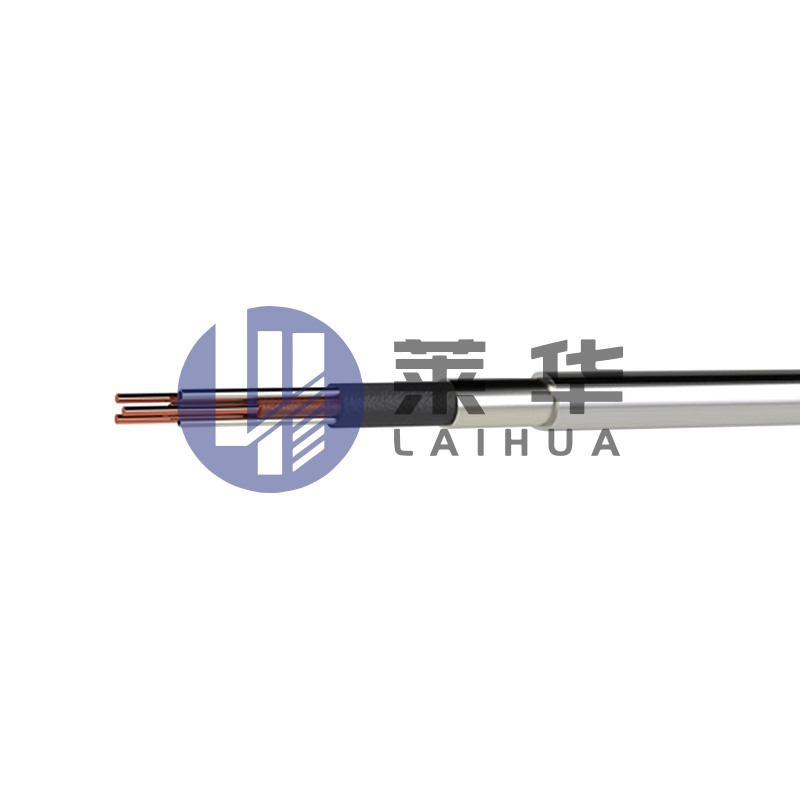 Kabel pengujian suhu tinggi stainless steel (lapis baja)